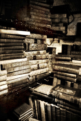 3332803370_14ebd659d0